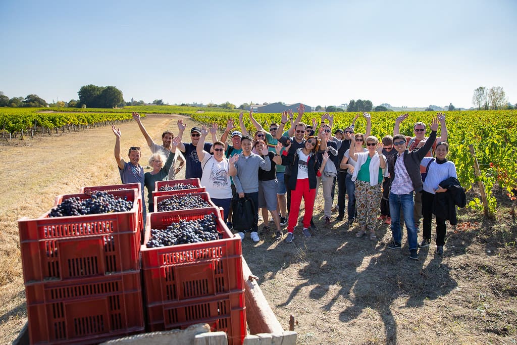 Vendanges responsables : un levier humain et durable pour les domaines viticoles